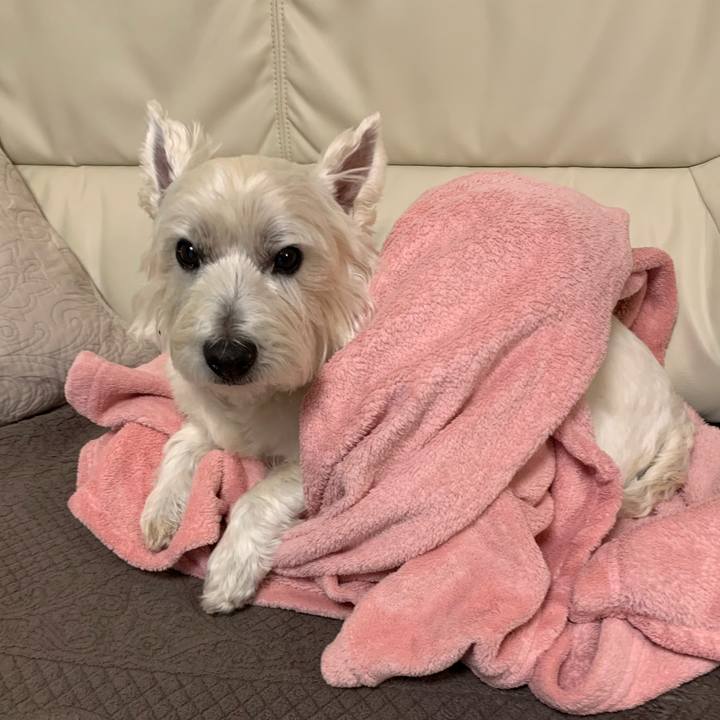 017fe57a 730b 470d 840c 1697c7d266c7 1613570114256