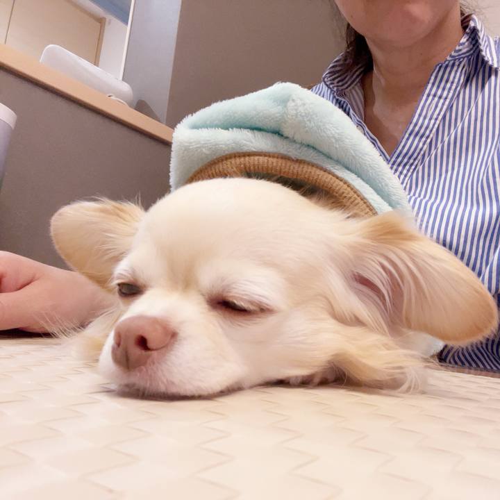 017ffc20 75f4 42f7 aaff ca1186061e54 1741606128805