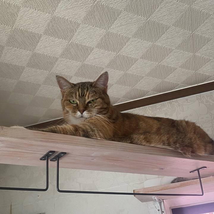 01801fc6 c195 4bef 801c c024f41f220b 1721575692997