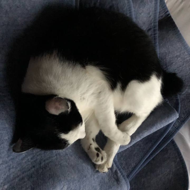 0180705d 84ea 4da1 a87c 0b1982b3053d 1564911881358