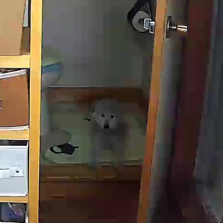 018074d8 f2fa 453a 84fb 8539614f9f36 1622429532503