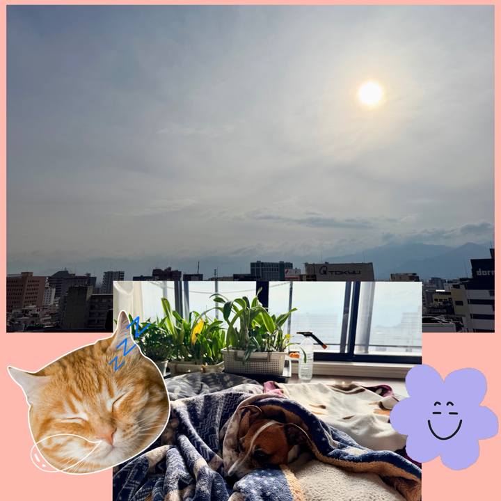 0180d160 5c8e 4136 9dd9 ed38ec07f1cf 1773359867929