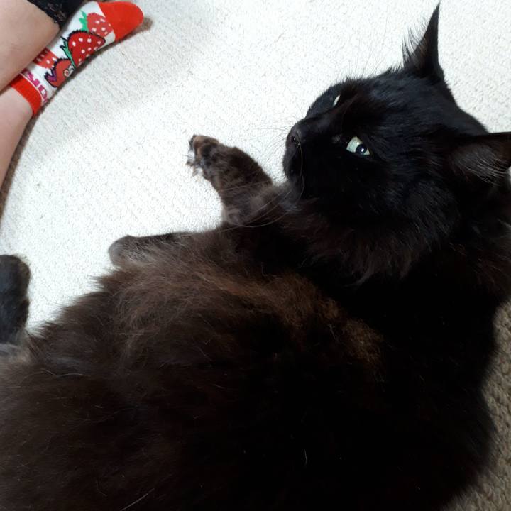 0180e2e2 f1aa 4eaa bb8d de93167b01fc 1517732670769