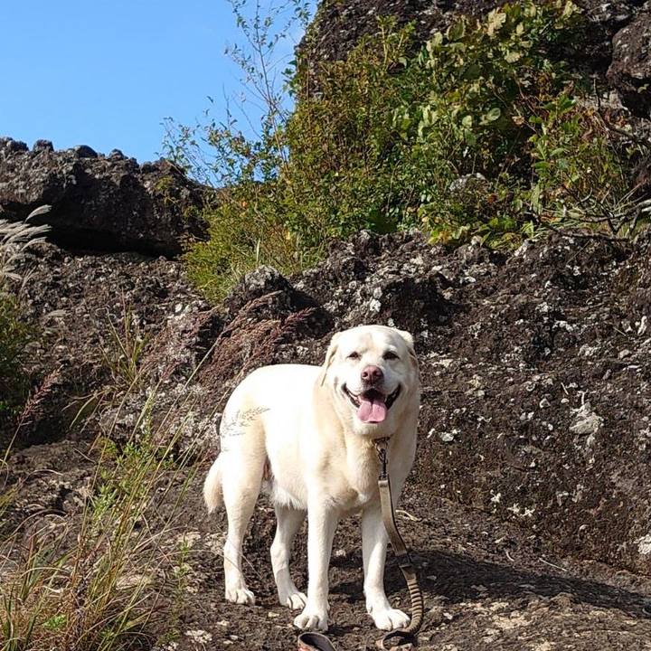 01812491 4ec3 4e58 b6e9 ecbf1da04331 1758708054435