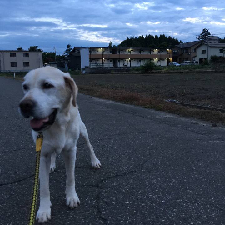 01812a1f be44 4bd5 85af 1e6f4fe7fdd6 1534848587294