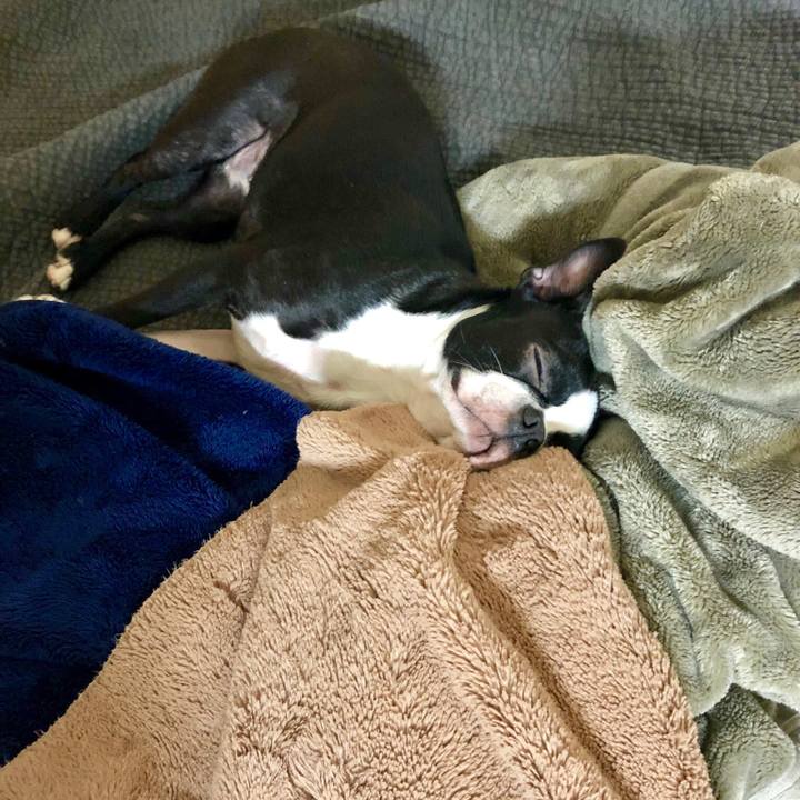 01813681 1c47 433a 8eb6 f537f441e2e3 1550227883220