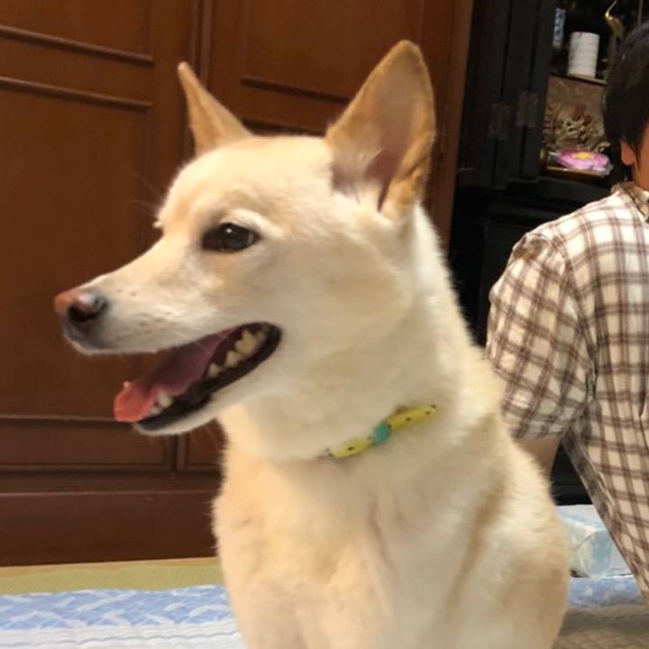 01815e64 c00c 445b bb0c f591949bd9bf 1628507847769