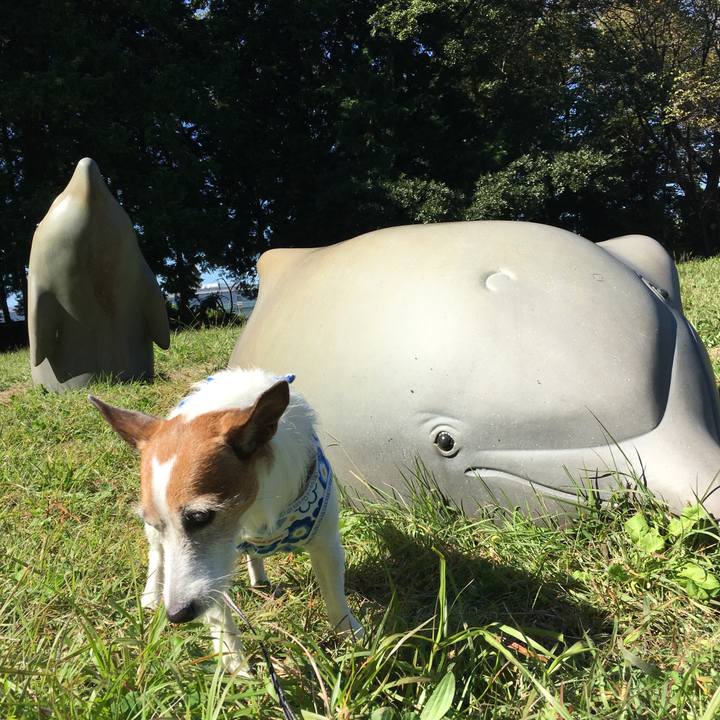 0181b26e 4cfb 49c0 b175 b823ea8b857e 1603841093236