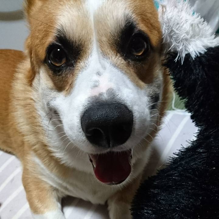 0181b7b4 c8a7 4feb b71c c65db6eb1d31 1598943489889