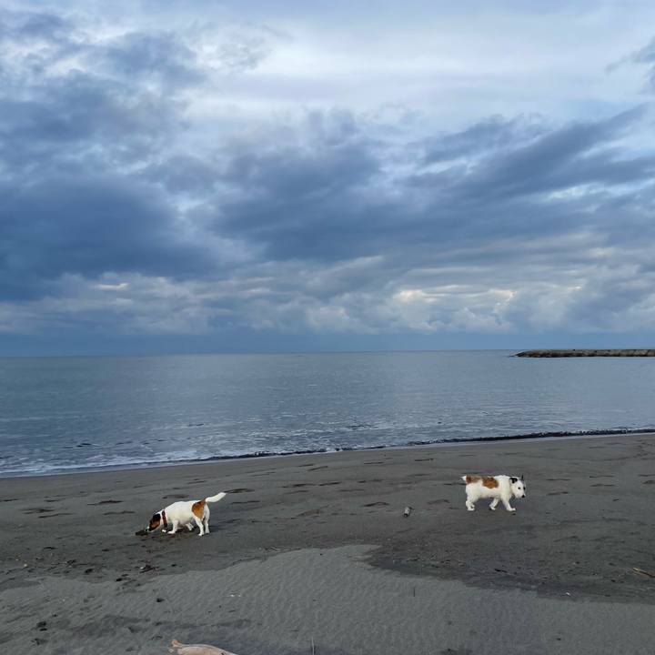 01820673 ad21 45b6 aa2b 95b928b94083 1760917293311