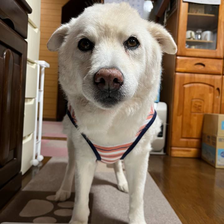 018212bc 4e0d 43d4 b543 8f527b50460e 1764199610564