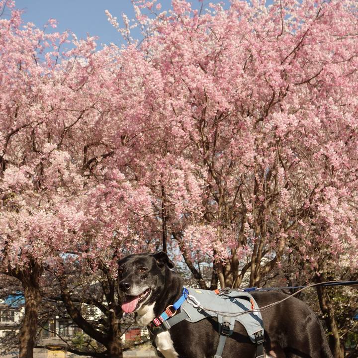 01821d15 af84 4543 94be 58df972354b4 1744158367689