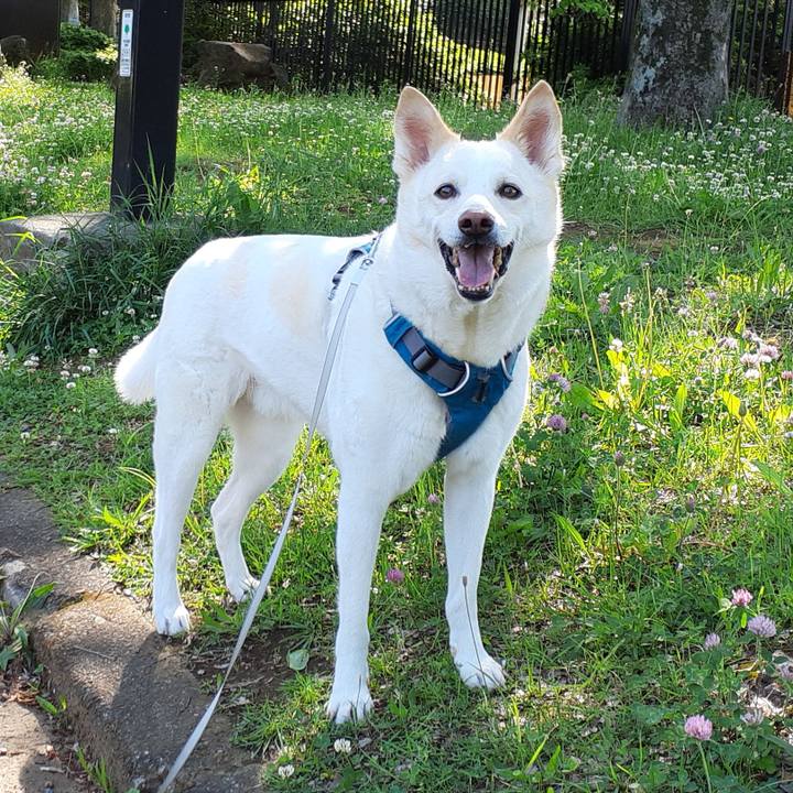 01823e39 b1ed 41d4 aecf 025c96bfa453 1651985463012