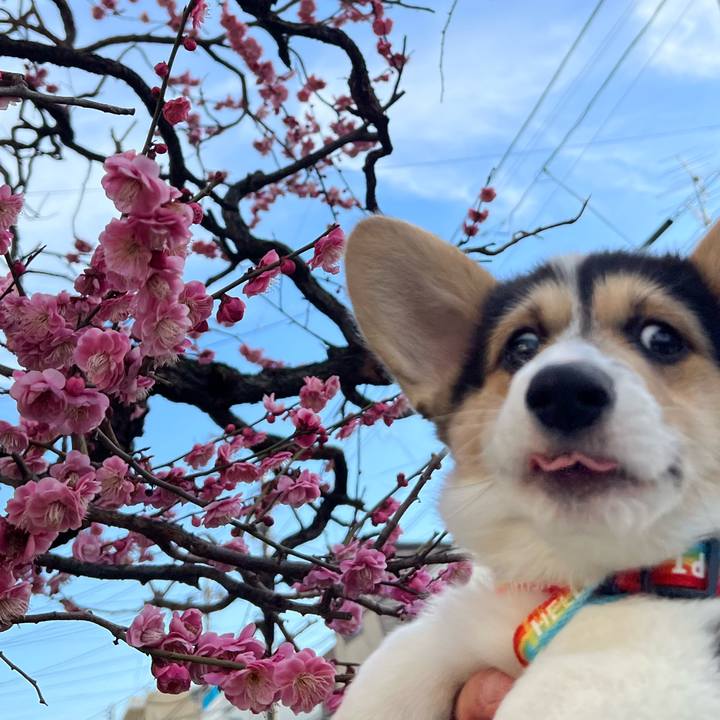 01825904 1bf9 40f8 b944 ca1bf0efba40 1771654449797