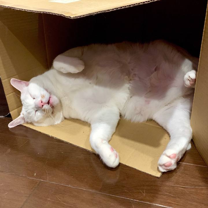 018261ac 3f48 49ce ad85 d9cdefe89247 1579614735865