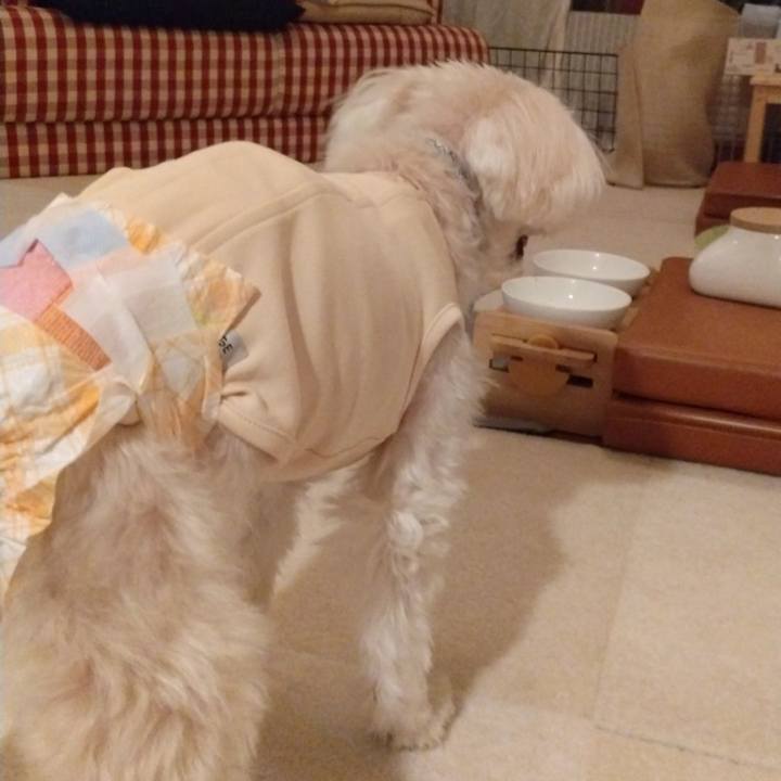 01827626 9fc8 4f8a a0d3 657b92ef1904 1731507143277