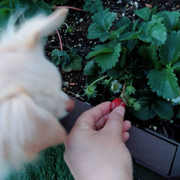 018288d9 b699 41e9 b9d2 ffc966155013 1711684391806