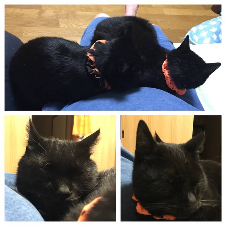 01832900 0ff1 4493 a5cb f09be3ab9c2d 1538828883896