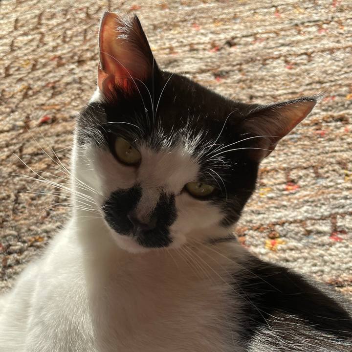 018362be 98b8 494c afa8 7c79f22423b6 1766894537484