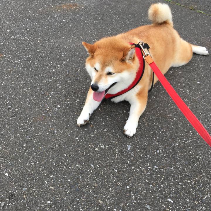 01836e32 a0a6 4776 9cc3 34c34947fea9 1595312367360