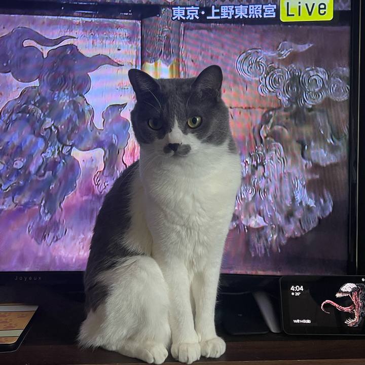 0183c8bb d6d7 435d a0ea eb7663ac6fc0 1665731122901