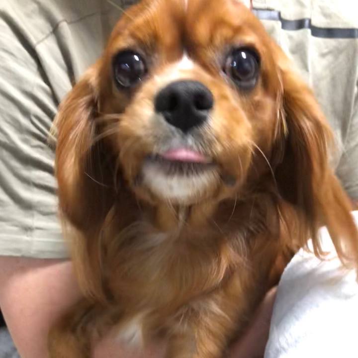 018404b4 4092 4495 bfcc b1a5a95fbd3c 1542146585252