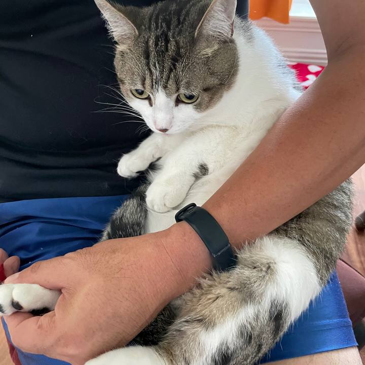 018404d0 4d98 4560 8b3b 9bc21f8231ac 1695961172746