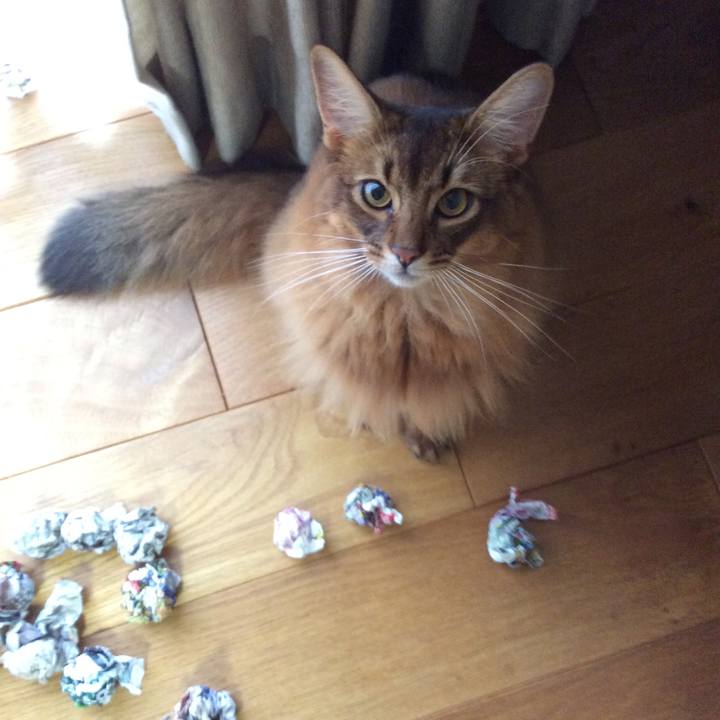 01846892 78c9 435f 9ed2 d4f750ef4d6e 1600997846884