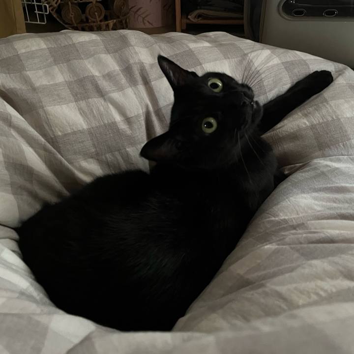 01847af6 9913 4869 aaa1 96934019195e 1730420923569