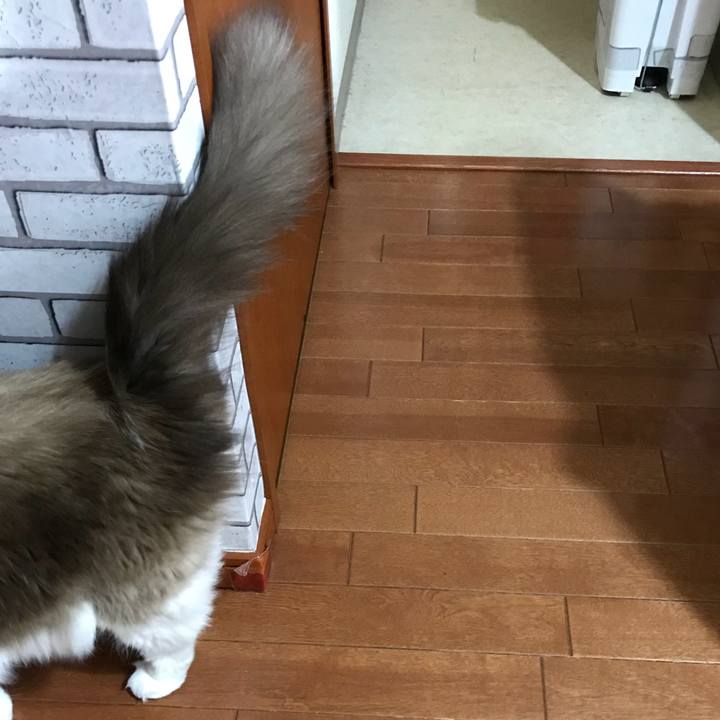 0184cbf0 58e7 4694 8183 359465a2ac27 1510235889532