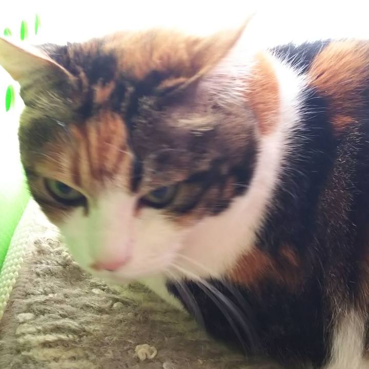 0184f725 9fc5 4421 9ae9 403c0e20f35d 1586212515915