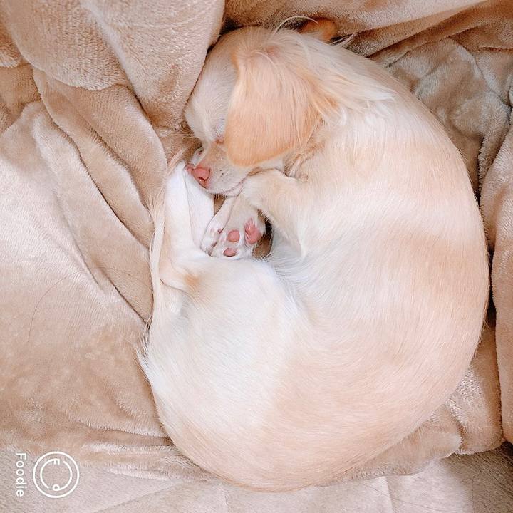 0185123f f1bb 45fa 9680 02908df6b485 1608776298702