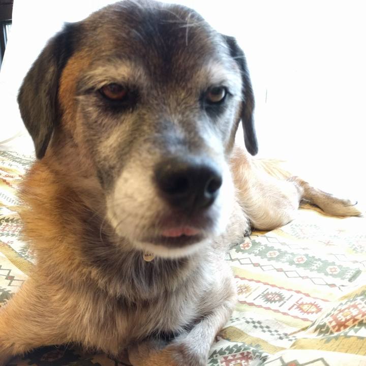 01853b98 fe5d 43a4 a8ca 5970d875beb4 1536734273160