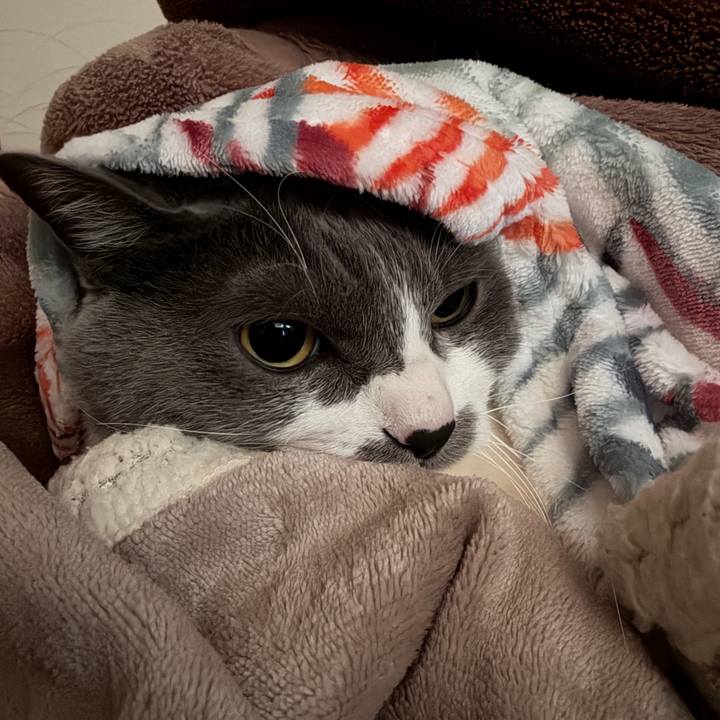 01855550 84c5 49b1 a207 c4ad3ca2ec8c 1767398048165