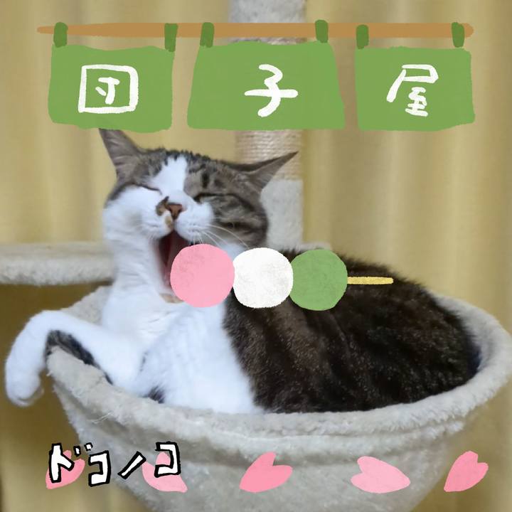 01855f27 d3d3 4e31 9cee 55fb344b2a40 1712317346359