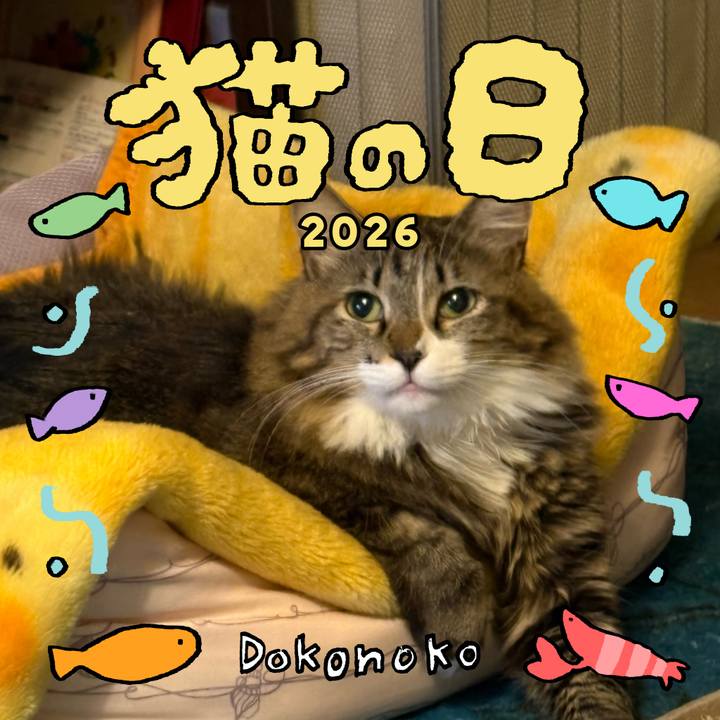 018560a9 234a 4041 93a4 02c181d67fd2 1771717941251