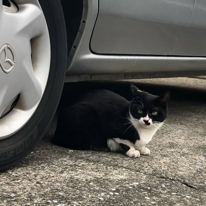 0185b88b 7cd6 4917 a4e6 1ef3596138b1 1539321735849