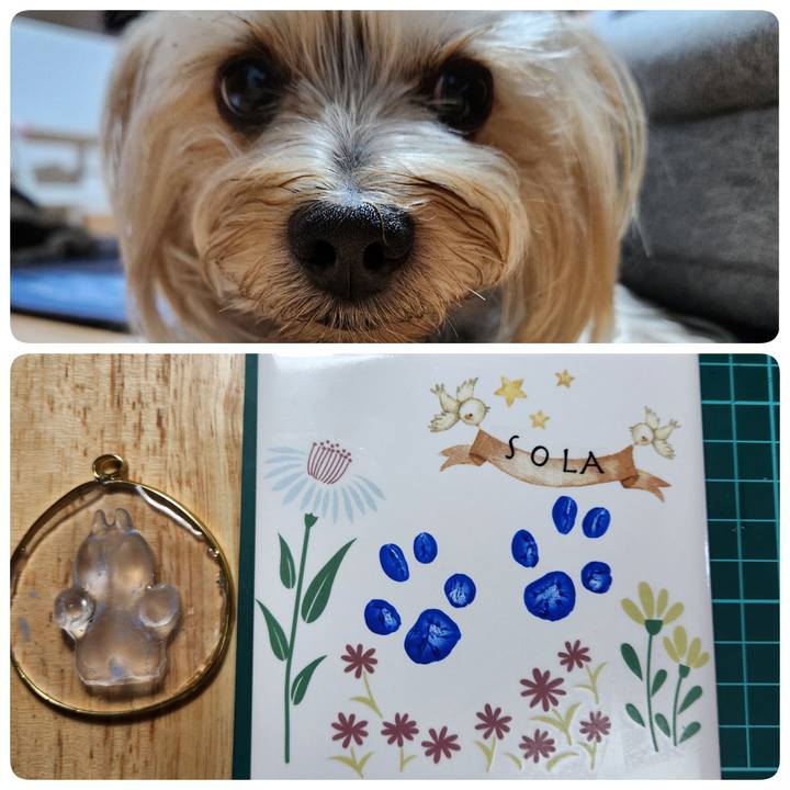 0185bdec 46e8 4b47 a596 0595b457cdcf 1731802457594