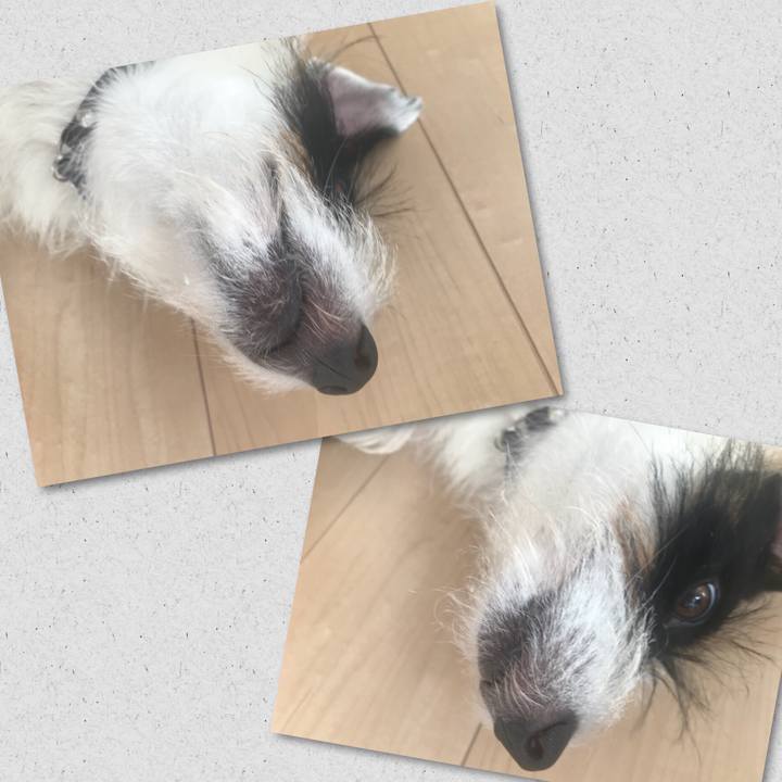 0185c04d 2c7e 4e97 9bba ef62aad37fc1 1537230480762