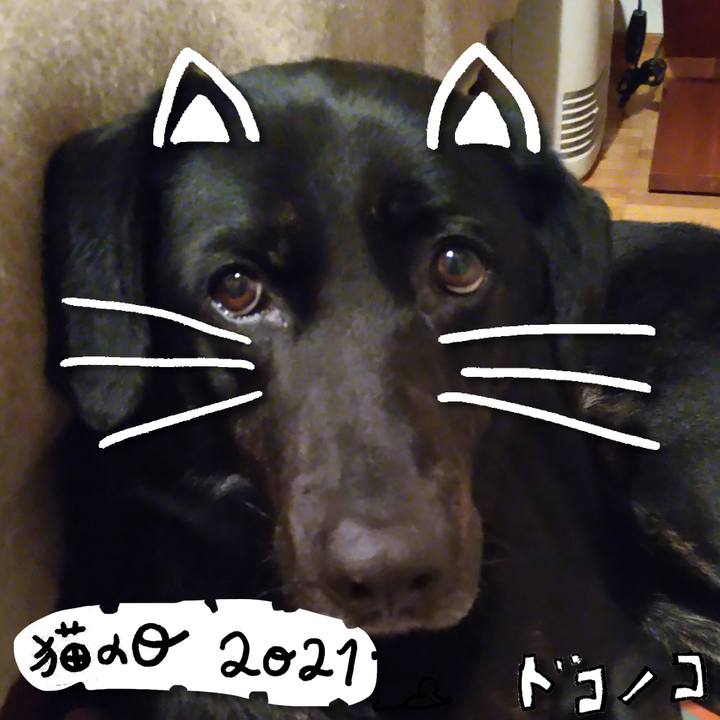 0185cb58 e13b 4e87 b5f4 46892fd380e0 1613968789567