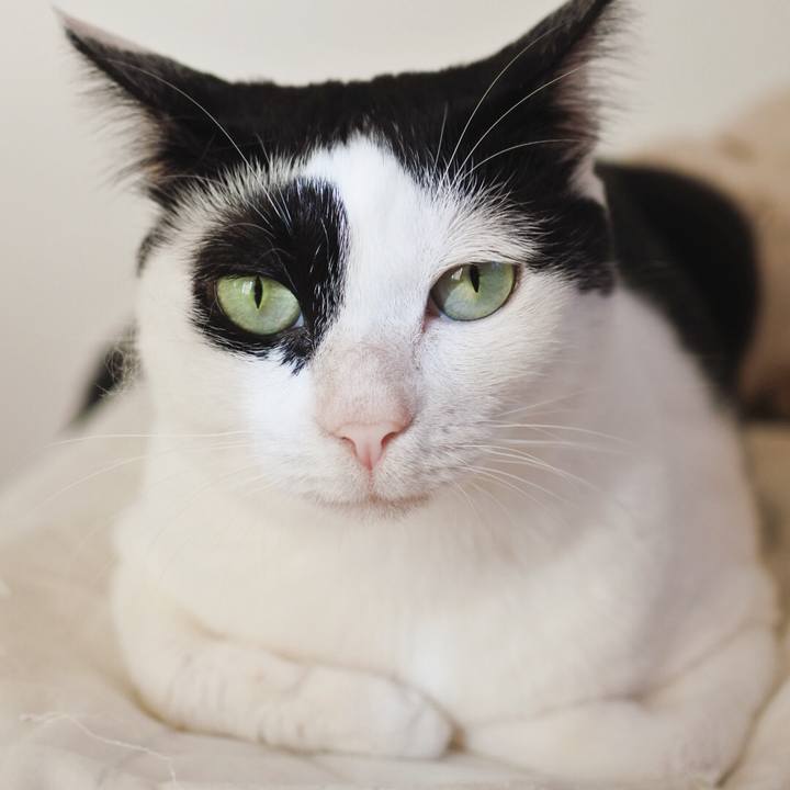 0185f781 f96f 4868 a873 80cf5f1bbfaa 1598771474815