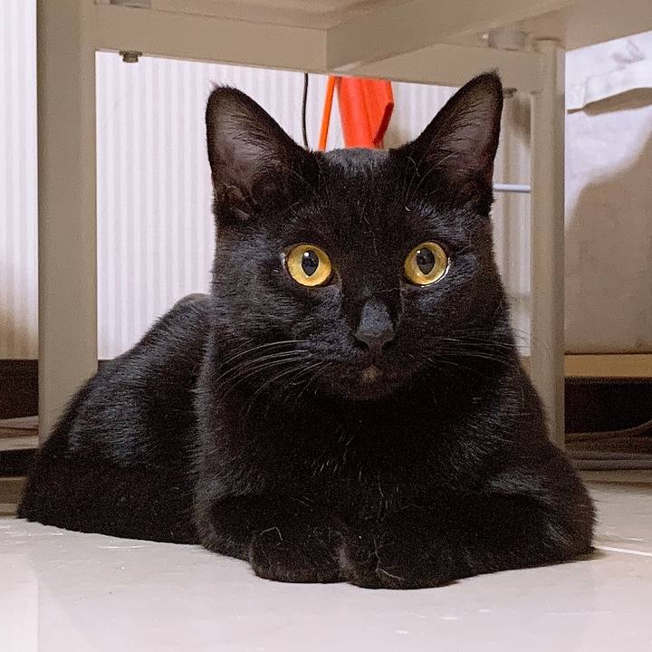 01860ca1 04dc 45c8 83da de731e684127 1557238255844