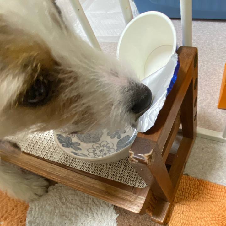 01864b9b d7ac 4d14 ab4b d06cdf09bed2 1742001749399