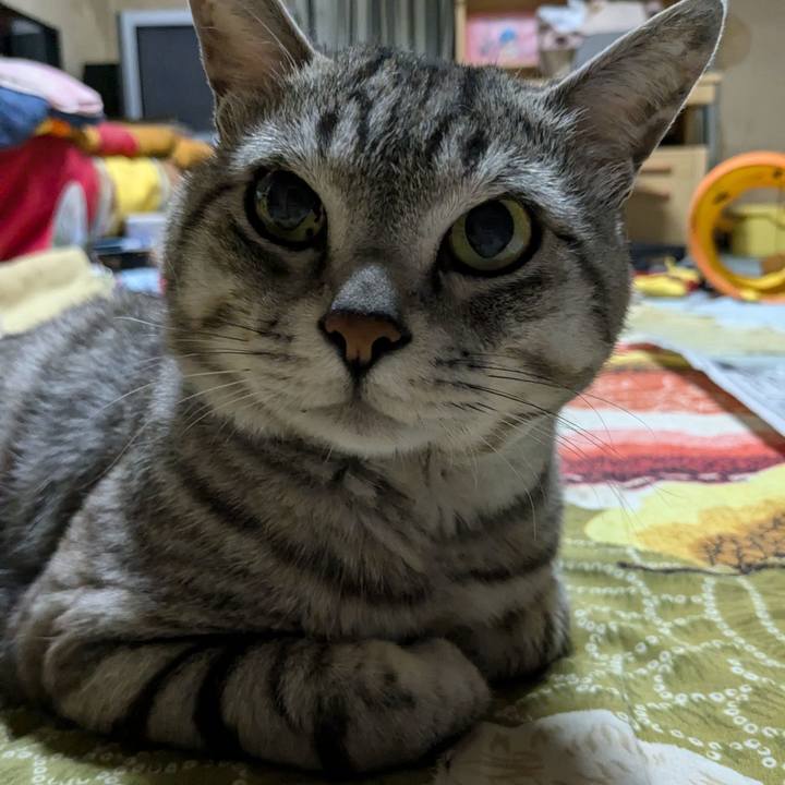 01866167 4133 46b6 b018 67b928eedbab 1720282307704