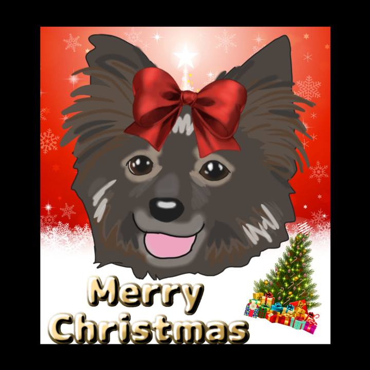 01868931 af15 4085 91eb e0b00bf0ae28 1671835079224