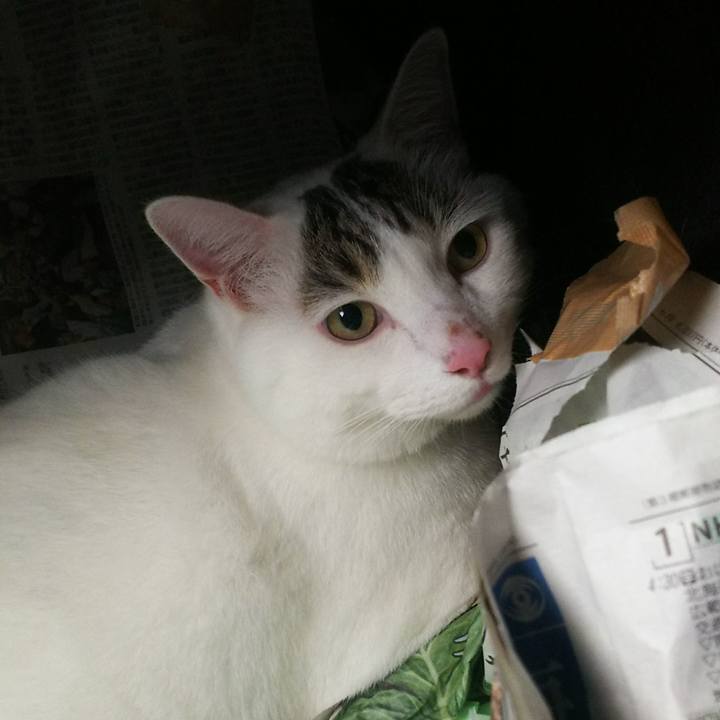 0186ded7 4390 47e9 8d0b da42d64b6693 1537546095094