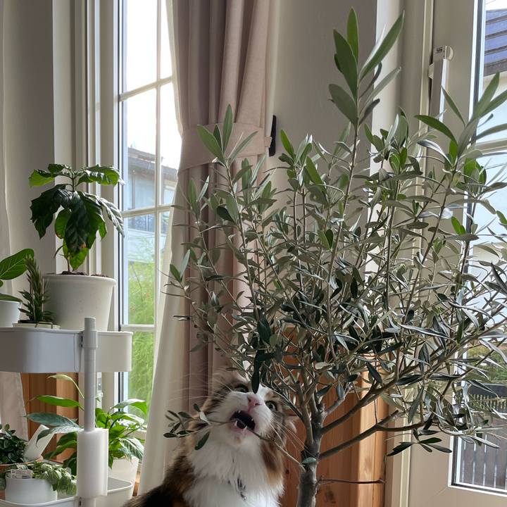 0186e46f b17e 4aa7 aef1 222a4f78c8d9 1665180262459