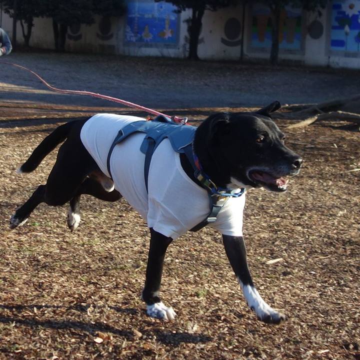 01870b9b fbb9 4ca4 8822 aa593320183f 1707786176662