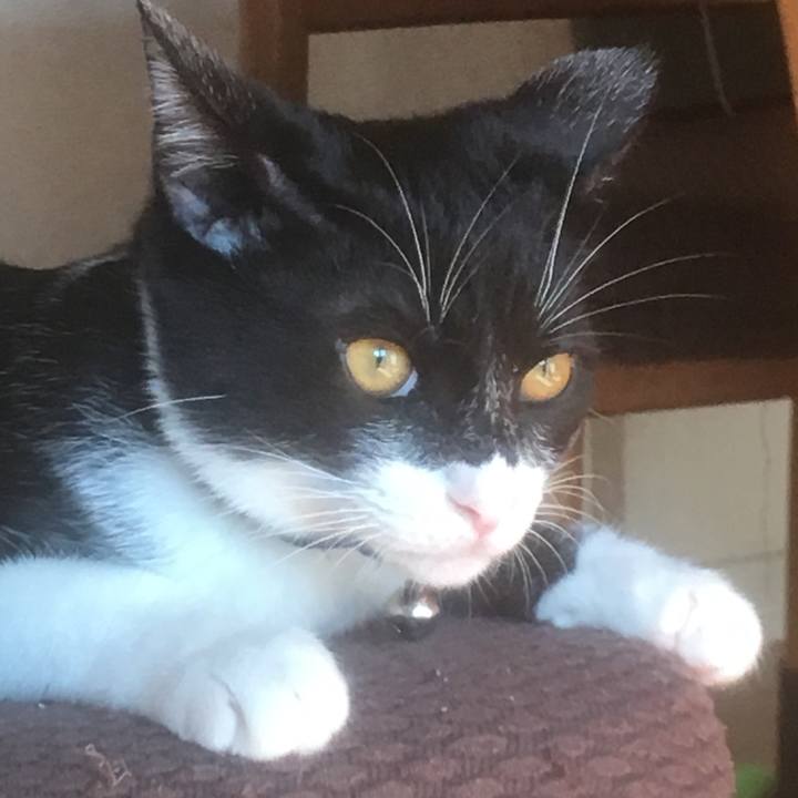 018748ee 7f53 49b6 b5cb fd0a651b1e4f 1513059224755