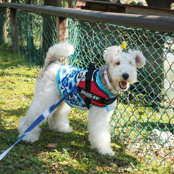 01878c7b 6595 4440 8c6e 7282501aa4a2 1509884771431